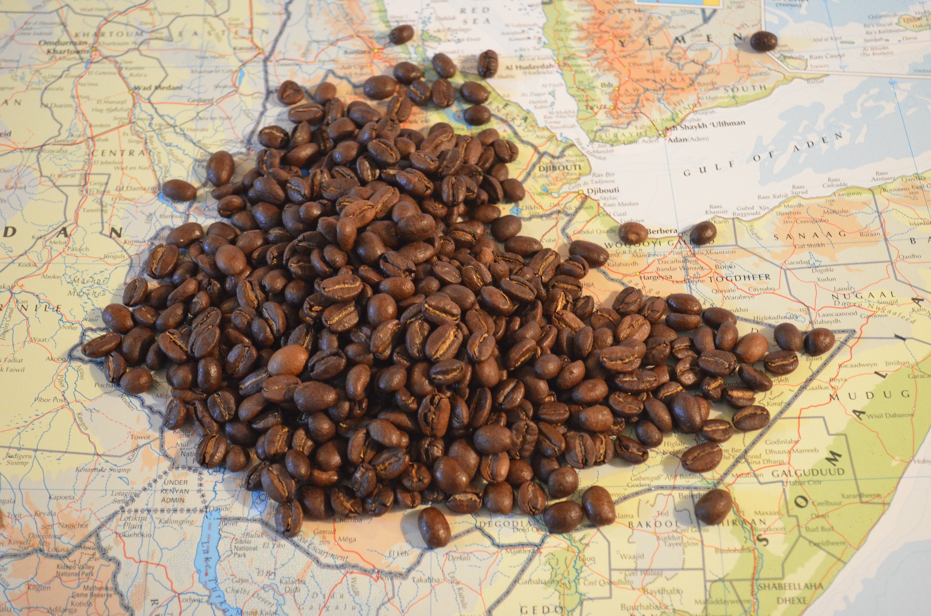 Baña tu casa con este ritual de café para eliminar la pobreza