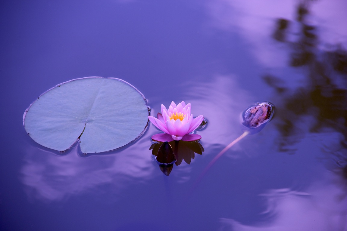 Meditación: la magia que surge desde tu alma