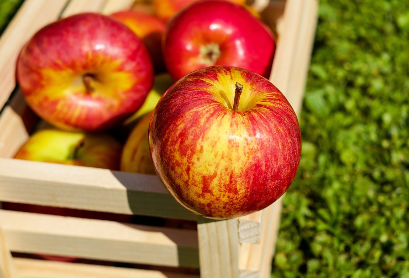 La manzana: el perfecto auxiliar de tus chakras y energías