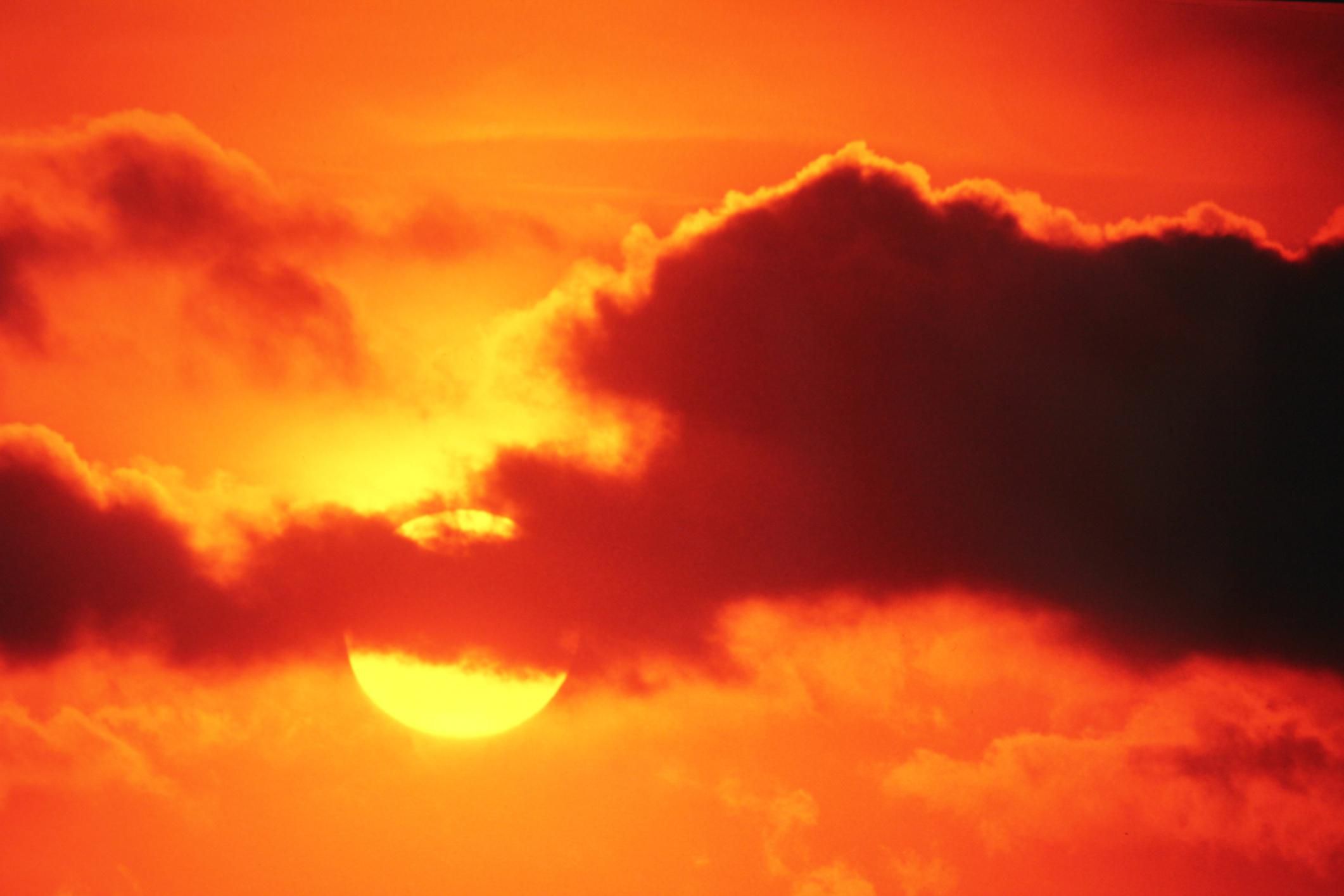 455239241-56a792673df78cf772973f97