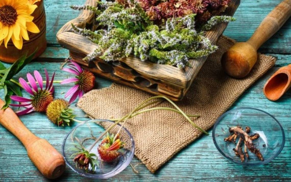 ¿Ya conoces la sección de herbolaria de Gitana Perla? ¡Descúbrela!