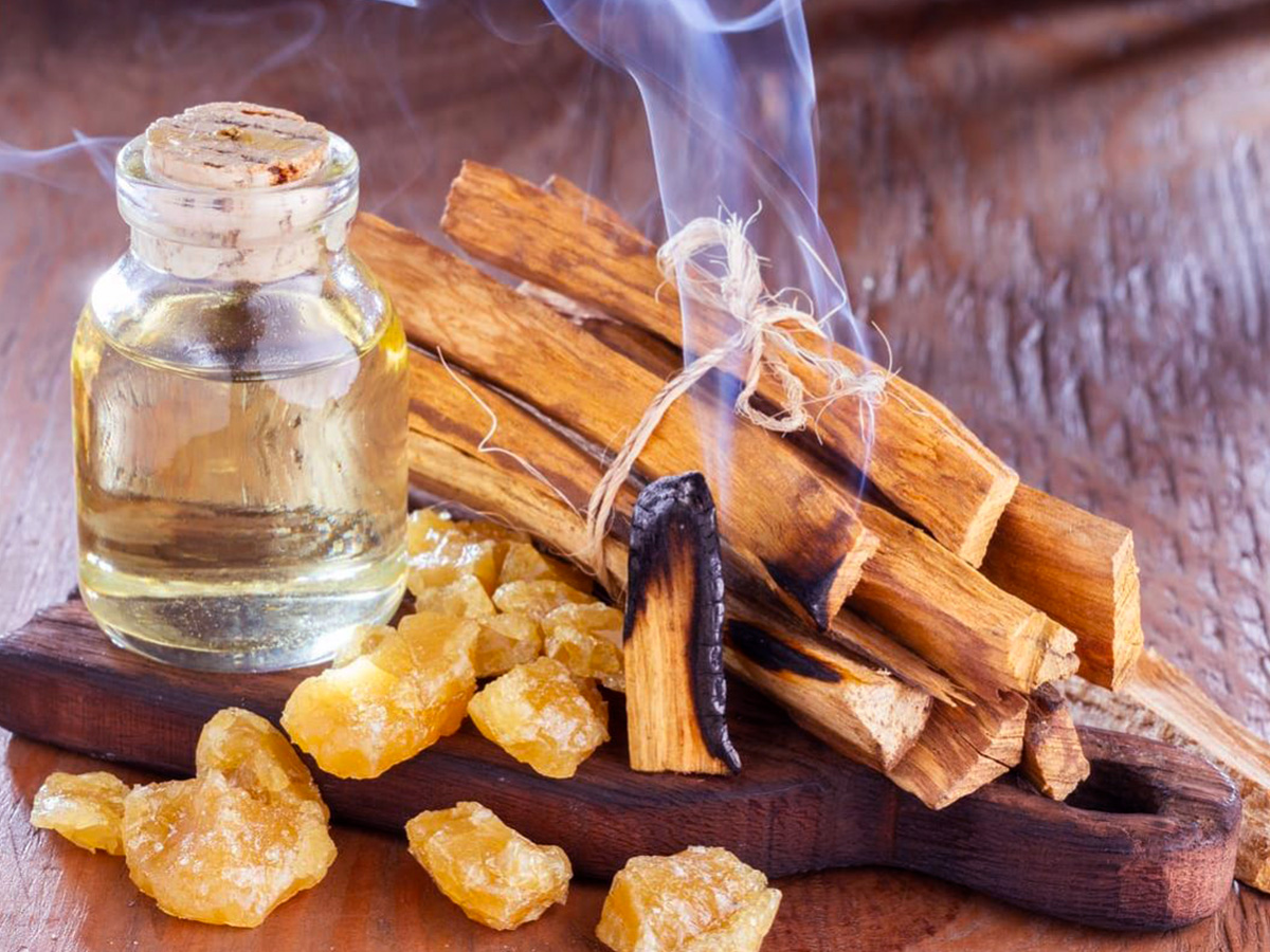 Las propiedades espirituales del Palo Santo