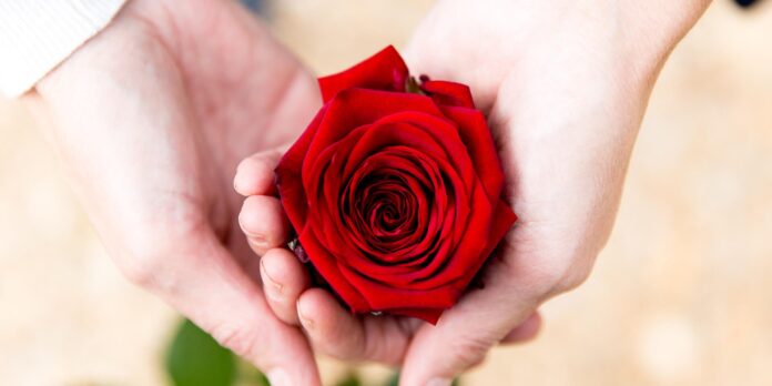 Gitana Perla te revela el origen y significado de obsequiar rosas rojas