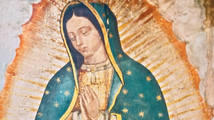 Gitana Perla te comparte el significado del manto de la Virgen de Guadalupe
